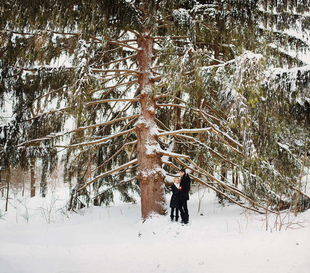 Oakville Ontario Wedding & Portrait Photographer