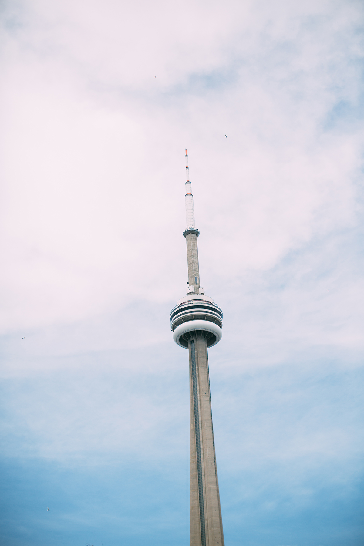 Toronto wedding photography